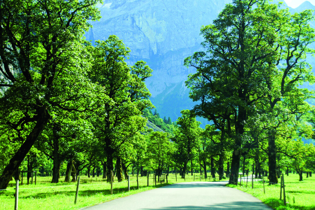 Straße auf dem Großen Ahornboden, Tirol