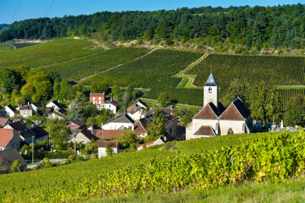 Weinberge bei Viviers-sur-Artaut, Champagne