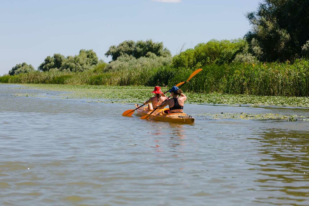 Zwei Paddlerinnen unterwegs im Donaudelta