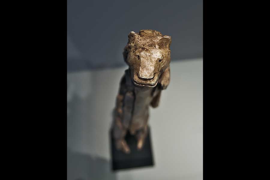 Der Löwenmensch im Museum Ulm