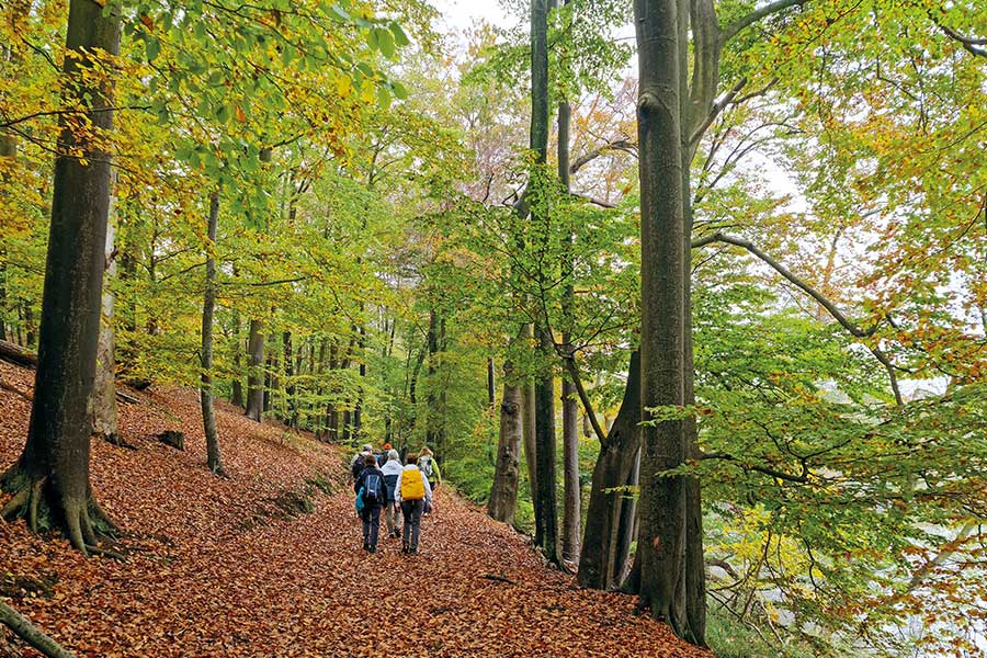 Wandergruppe auf einem Uferweg mit Herbstlaub