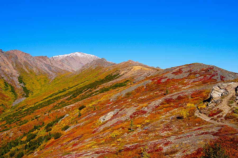 Herbstlich gefärbte Berge vor blauem Himmel