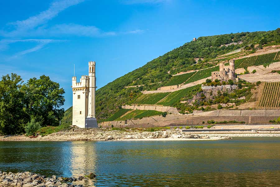 Alter weißer Wachturm auf einer Rheininsel, dahinter Weinberge mit Burgruine